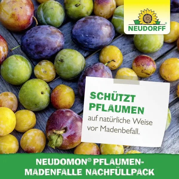 NEUDORFF® Neudomon® PflaumenmadenFalle Nachfüllpack - 1 Set