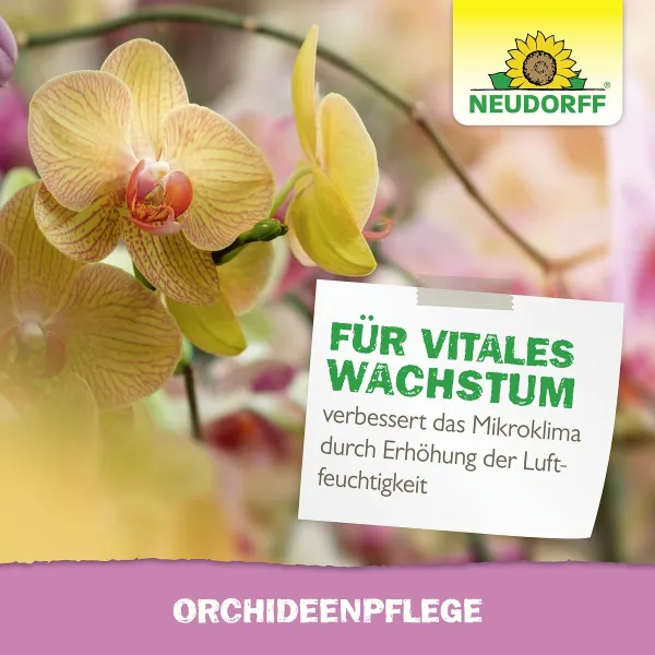 NEUDORFF® OrchideenPflege anwendungsfertig - 250 ml