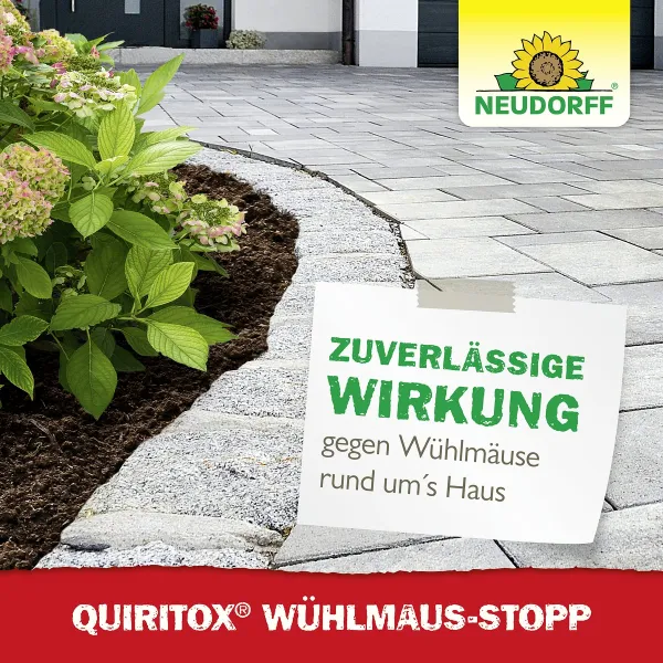 NEUDORFF® Quiritox® Wühlmaus-Stopp - 200 g