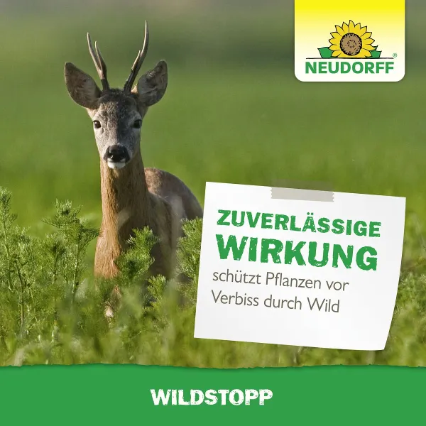 NEUDORFF® WildStopp für maximal 200 Pflanzen - 100 g
