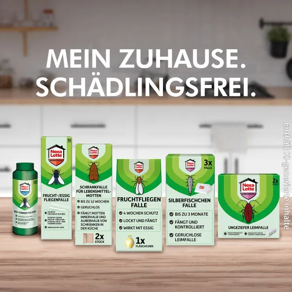 Nexa Lotte® Lebensmittel-Motten Falle - 2 Stück