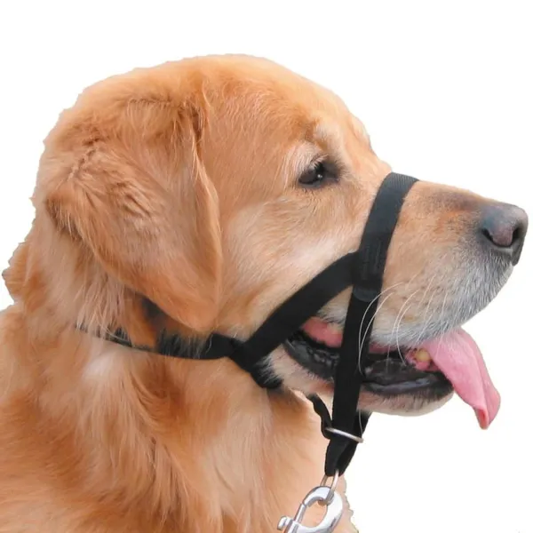 Nobby® Hunde Erziehungs- und Ausbildungshalfter XL Easy Leader Schwarz Größe 4 Nobby® Hunde Erziehungs- und Ausbildungshalfter XL Easy Leader Schwarz Größe 4