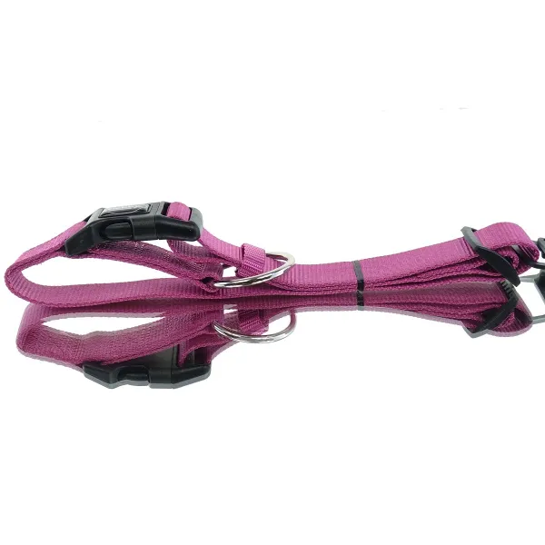 Nobby® Hunde Halsband Classic Himbeere Größe L - XL