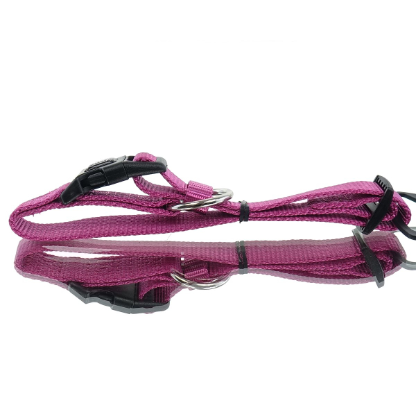 Nobby® Hunde Halsband Classic Himbeere Größe S - M