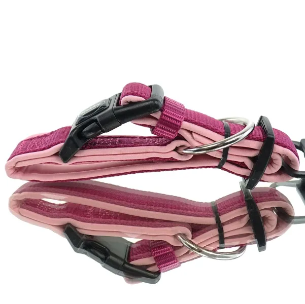 Nobby® Hunde Halsband Classic Preno Himbeere/Pink Größe XS Nobby® Hunde Halsband Classic Preno Himbeere/Pink Größe XS