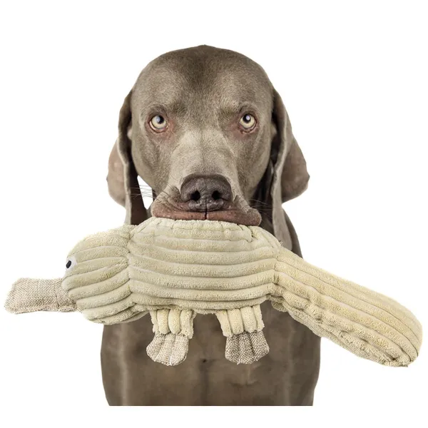 Nobby® Hunde Spielzeug Plüsch Schnabeltier Beige 44 cm