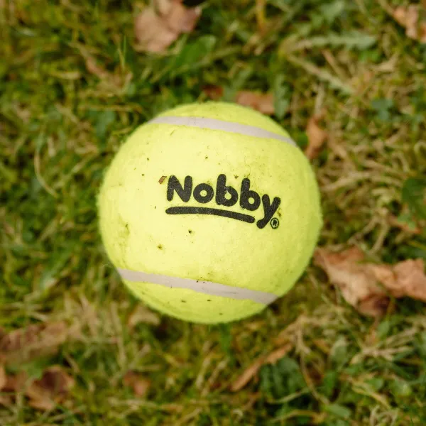 Nobby® Hunde Tennisball mit Squeaker S 5,5 cm, 3er Netz