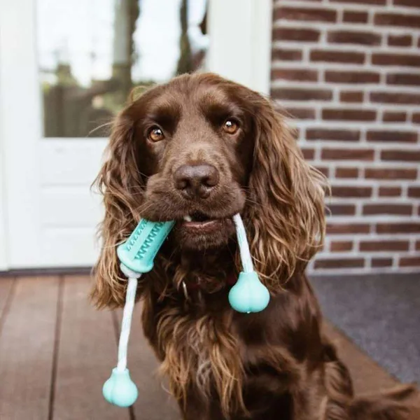 Nobby® Hunde Vollgummi Stick mit Seil DENTAL LINE zweifarbig 37 cm