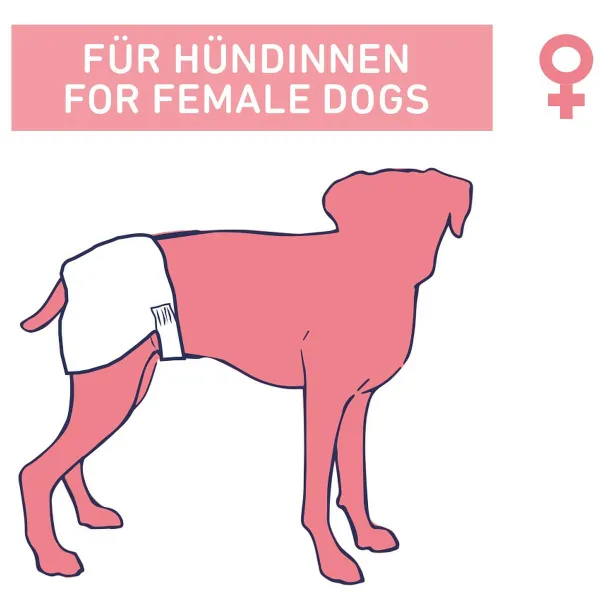 Nobby® Hunde Windeln für Hündinnen S-M 28-40 cm - 12 Stück