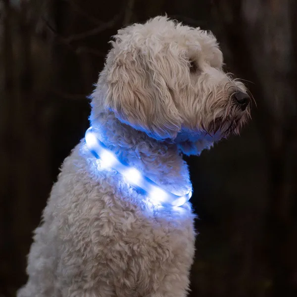 Nobby® LED Leuchtband VISIBLE blau M 25 mm; 55 cm