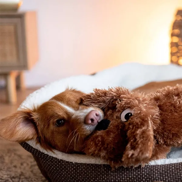 Nobby® Hunde Spielzeug Plüsch Hund Schlappi M Braun 39 cm