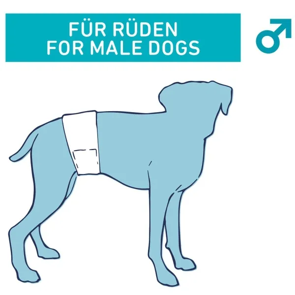 Nobby® Hunde Windeln für Rüden L-XL 60-80 cm - 12 Stück