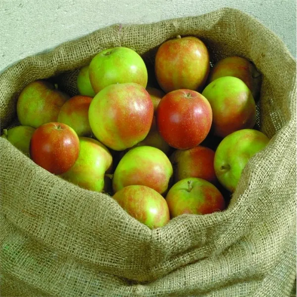 NOOR® Jutesack Natur Größe S extra stark 60 x 105 cm - 3er Pack