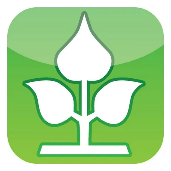 NOOR® Jutesack Natur Größe S extra stark 60 x 105 cm - 3er Pack