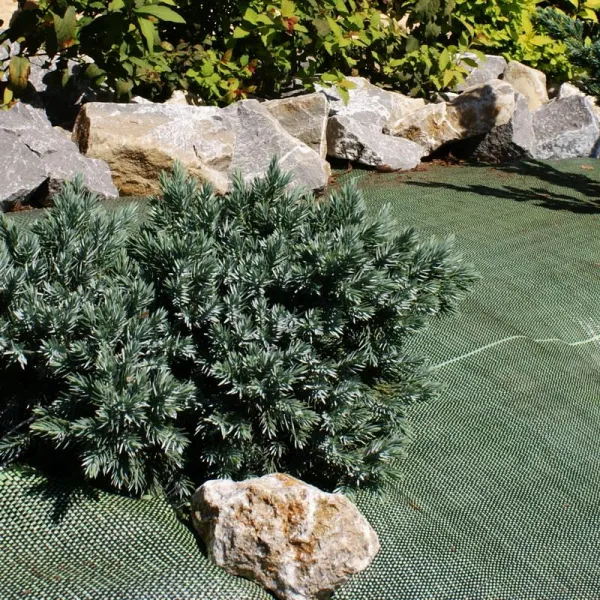 NOOR® Unkrautblocker Grün 105 g /m² - 0,9 x 10 Meter