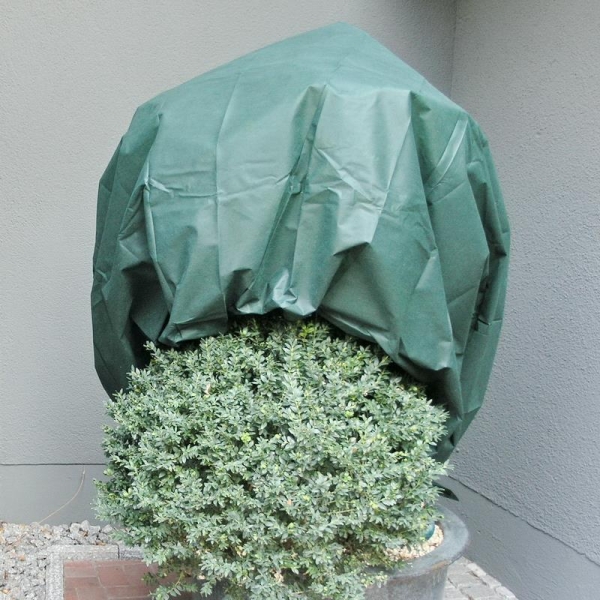 NOOR® Wintervlies Grün 1,6 x 5 Meter