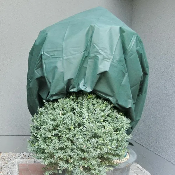 NOOR® Wintervlies Grün 1,6 x 5 Meter