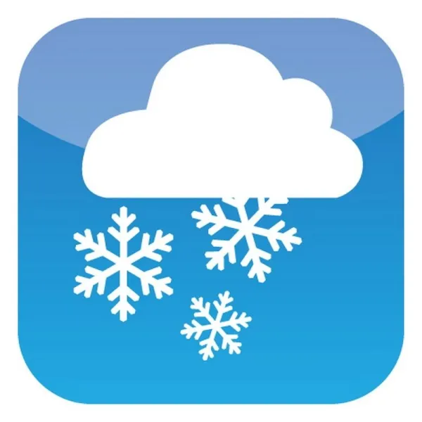 NOOR® Wintervlies Rot 1,6 x 5 Meter