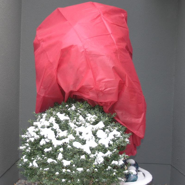 NOOR® Wintervlies Rot 1,6 x 5 Meter