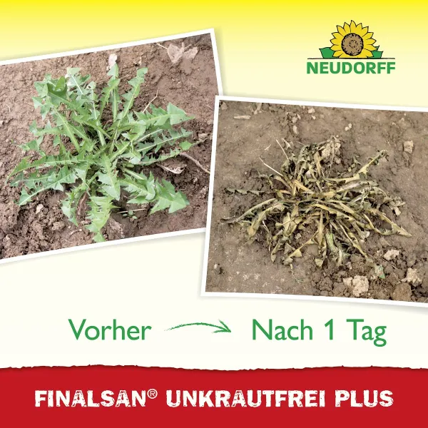 nur amazon - 3 x NEUDORFF® Finalsan® Konzentrat UnkrautFrei Plus 1000 ml Artikel EAN 4005240004975