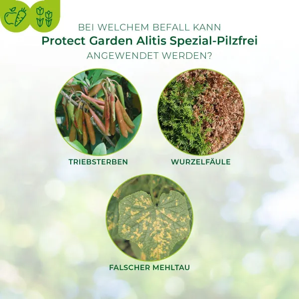 PROTECT GARDEN Alitis Spezial-Pilzfrei - 40 g