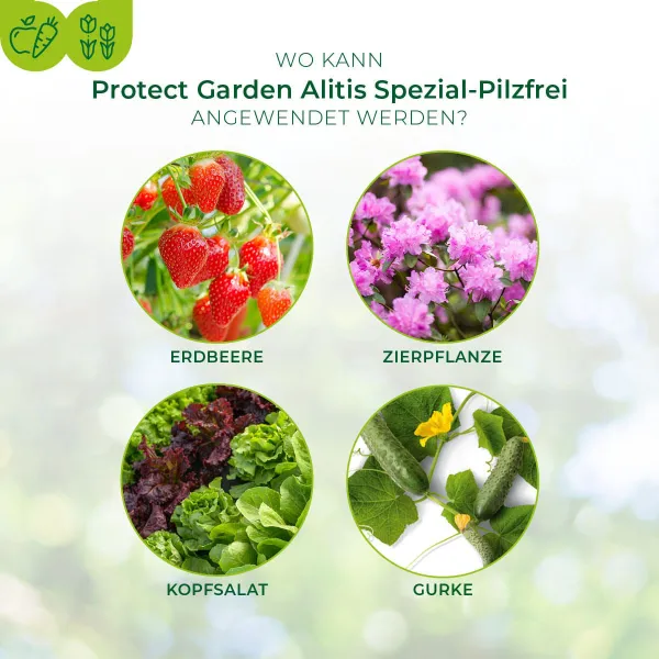 PROTECT GARDEN Alitis Spezial-Pilzfrei - 40 g