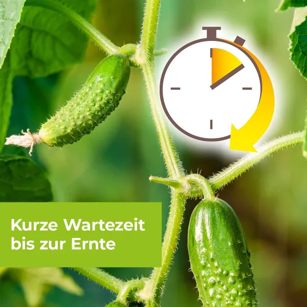 PROTECT GARDEN Alitis Spezial-Pilzfrei - 40 g