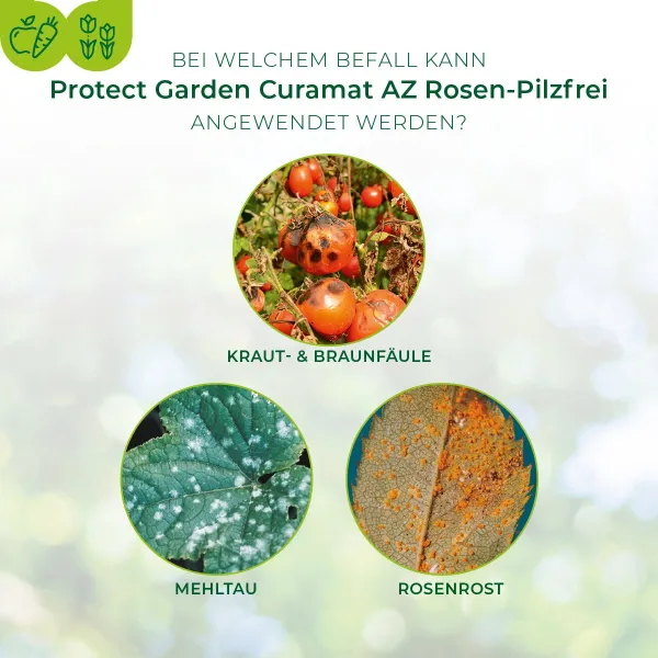 PROTECT GARDEN Curamat AZ Rosen-Pilzfrei - 2 x 4 ml