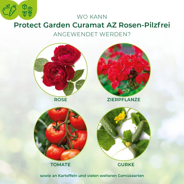 PROTECT GARDEN Curamat AZ Rosen-Pilzfrei - 2 x 4 ml