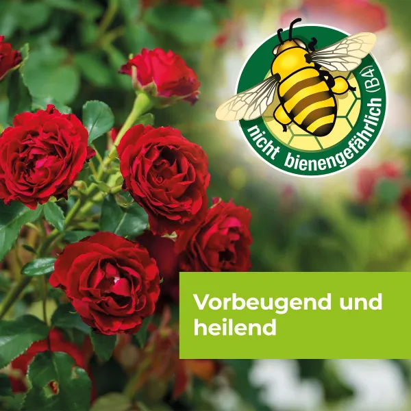 PROTECT GARDEN Curamat AZ Rosen-Pilzfrei - 2 x 4 ml