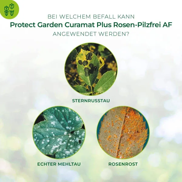 PROTECT GARDEN Curamat Plus Rosen-Pilzfrei AF anwendungsfertig - 1 Liter