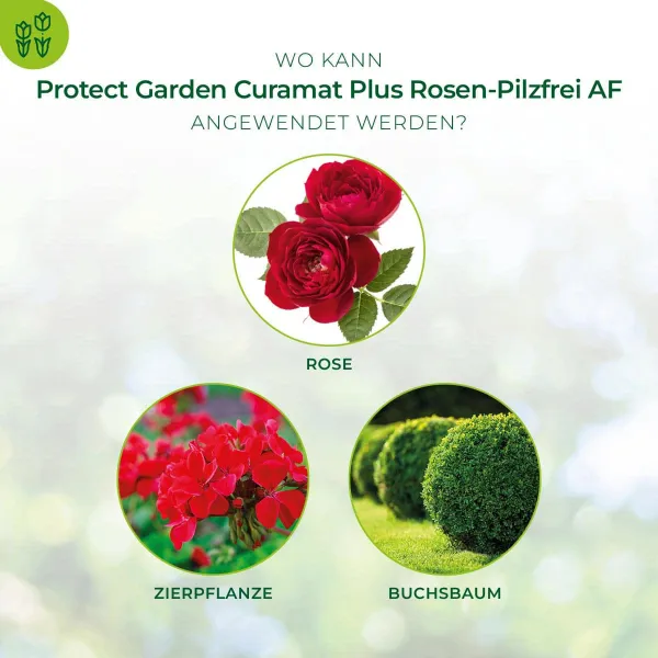 PROTECT GARDEN Curamat Plus Rosen-Pilzfrei AF anwendungsfertig - 1 Liter