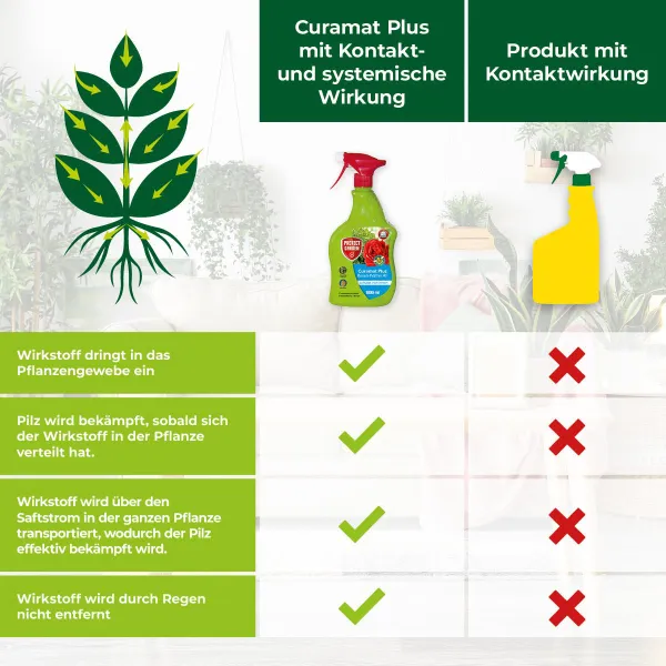 PROTECT GARDEN Curamat Plus Rosen-Pilzfrei AF anwendungsfertig - 1 Liter