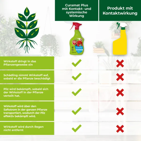 PROTECT GARDEN Curamat Plus Universal-Pilzfrei AF 500 ml anwendungsfertig
