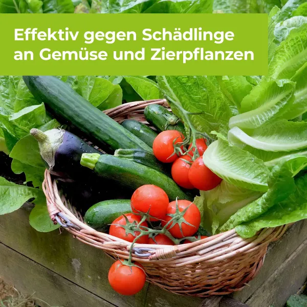 PROTECT GARDEN DeltaX Schädlingsfrei AF anwendungsfertig - 1 Liter x 2