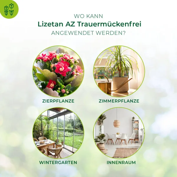 PROTECT GARDEN Lizetan® AZ Trauermückenfrei 75 ml für 15 Liter Gießwasser