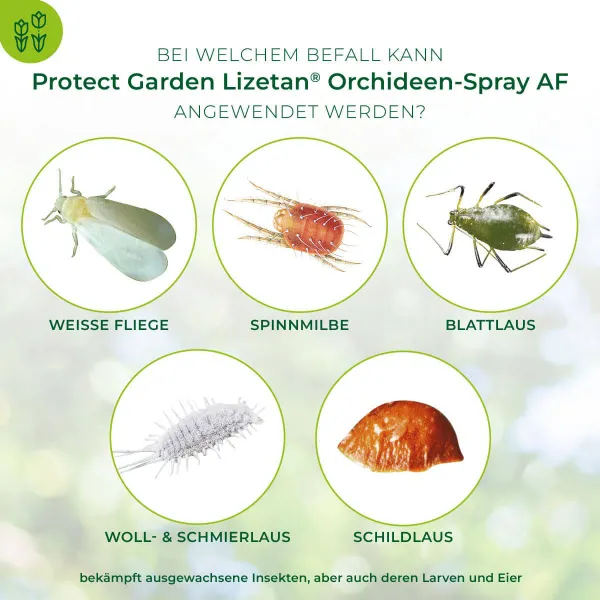 PROTECT GARDEN Lizetan® Orchideen-Spray AF anwendungsfertig - 500 ml