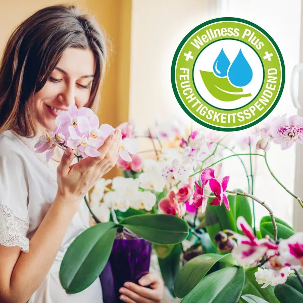 PROTECT GARDEN Lizetan® Orchideen-Spray AF anwendungsfertig - 500 ml x 2