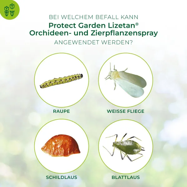 PROTECT GARDEN Lizetan® Orchideen- und Zierpflanzenspray - 400 ml