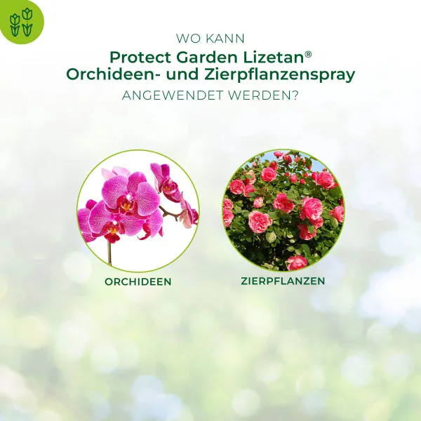 PROTECT GARDEN Lizetan® Orchideen- und Zierpflanzenspray - 400 ml