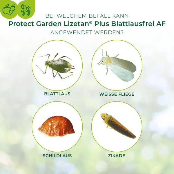 PROTECT GARDEN Lizetan Plus Blattlausfrei AF 1 Liter anwendungsfertig