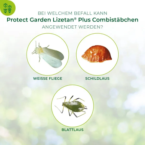 PROTECT GARDEN Lizetan Plus Combistäbchen für Zimmer- & Balkonpflanzen - 100 Stück