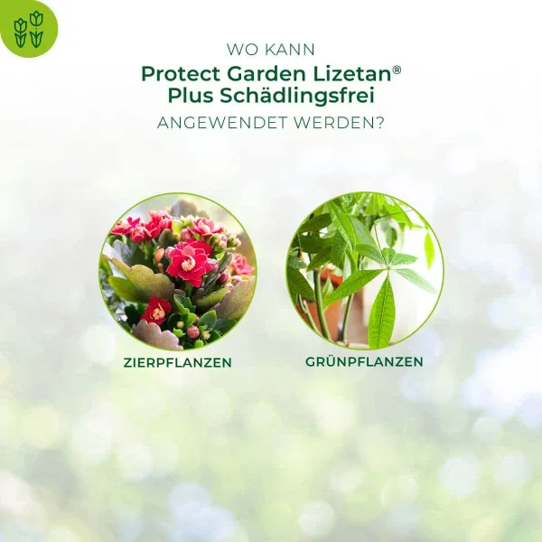 PROTECT GARDEN Lizetan Plus Schädlingsfrei für 37 Liter Spritzwasser - 100 ml