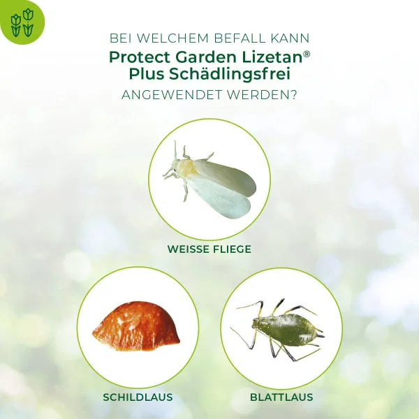 PROTECT GARDEN Lizetan Plus Schädlingsfrei für 37 Liter Spritzwasser - 100 ml