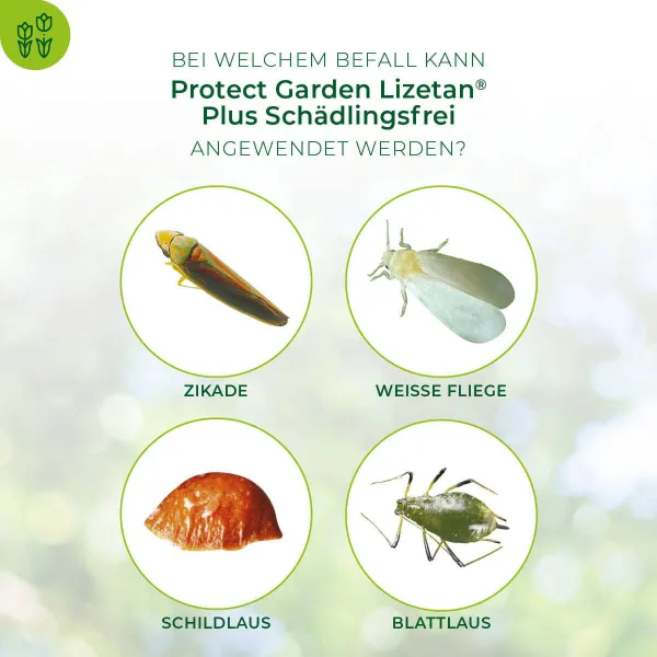 PROTECT GARDEN Lizetan Plus Schädlingsfrei - 2 x 4 ml
