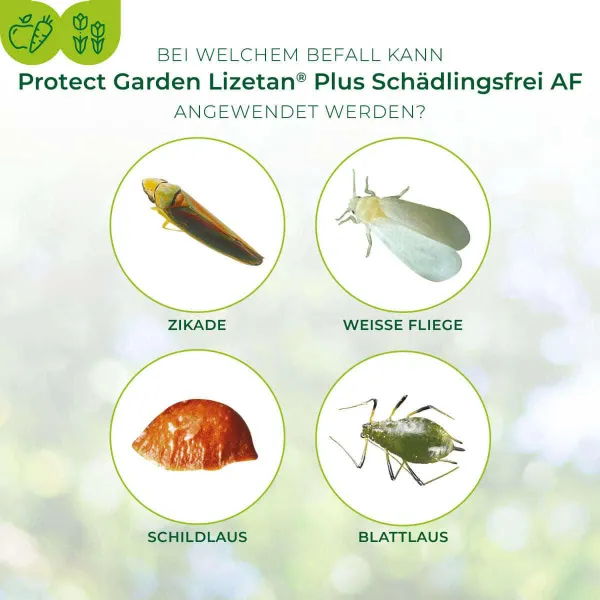 PROTECT GARDEN Lizetan Plus Schädlingsfrei AF 3 Liter anwendungsfertig