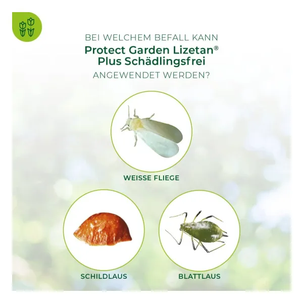 PROTECT GARDEN Lizetan Plus Schädlingsfrei für 18 Liter Spritzwasser - 50 ml