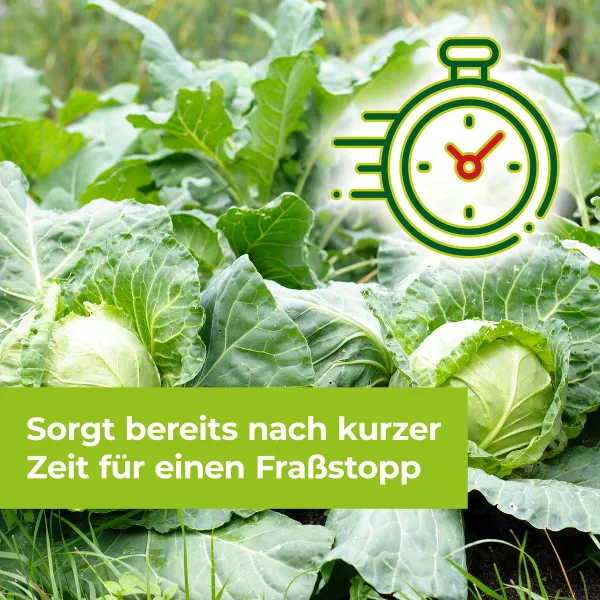 PROTECT GARDEN Lizetan® Universal-Raupenfrei 9 ml für bis zu 300 m²