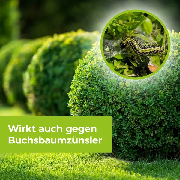 PROTECT GARDEN Lizetan® Universal-Raupenfrei 9 ml für bis zu 300 m²