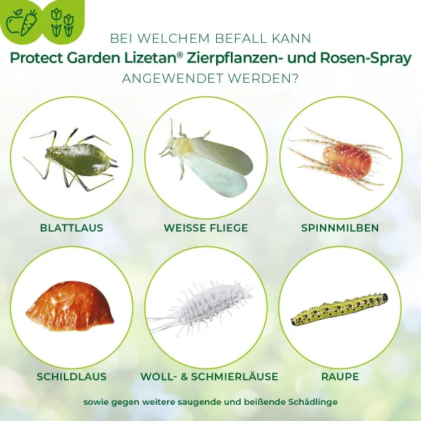 PROTECT GARDEN Lizetan® Zierpflanzen- & Rosen-Spray AF - 500 ml